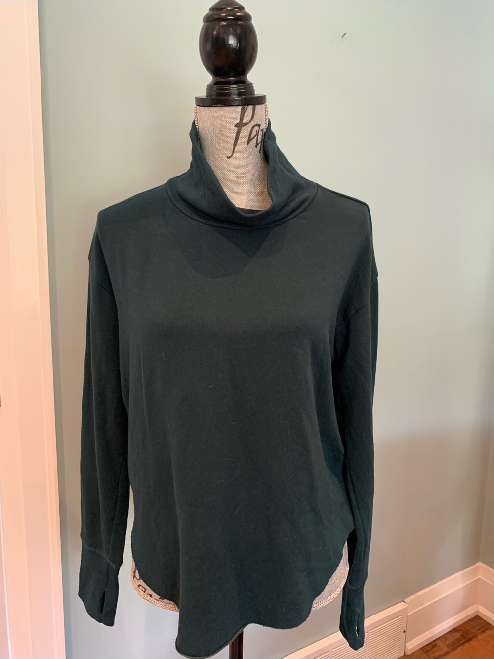 aerie Dark Teal Long-Sleeve Turtleneck Top